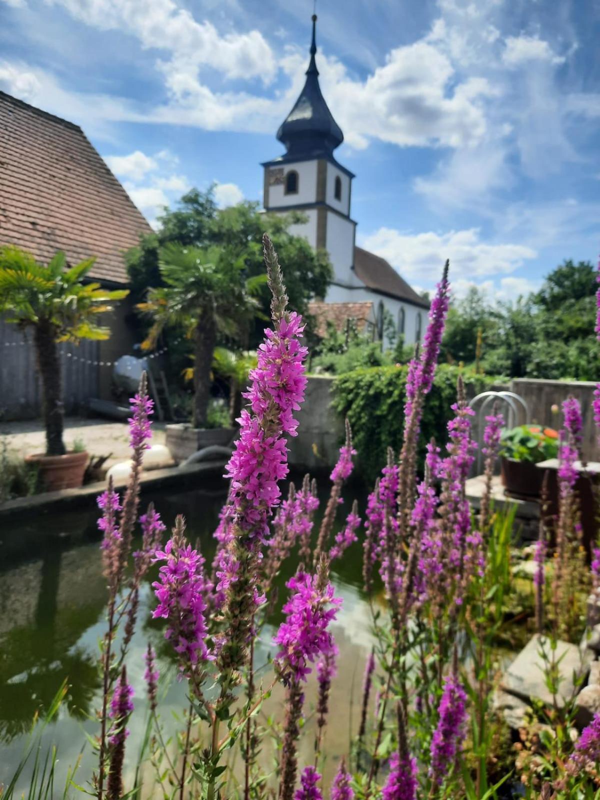 Spatzennest Und Rabennest Sugenheim Exterior foto